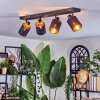 Fallhagen Plafonnier, Spot de plafond Noir, 4 lumières
