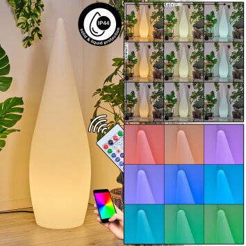 Dalon Lampadaire d\'extérieur, Lampadaire LED Blanc, 1 lumière, Télécommandes
