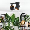 Alsen Plafonnier, Spot de plafond Noir, 2 lumières