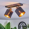 Alsen Plafonnier, Spot de plafond Noir, 2 lumières
