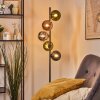 Gastor Boule lumineuse, Lampadaire 33 cm Bleu, Chrome, Vert, Cuivré, Fumé, 5 lumières