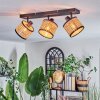 Ramila Plafonnier, Spot de plafond Noir, 3 lumières
