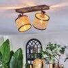 Ramila Plafonnier, Spot de plafond Noir, 2 lumières