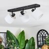 Bassagoda Plafonnier, Spot de plafond Noir, 3 lumières