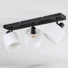 Bassagoda Plafonnier, Spot de plafond Noir, 3 lumières