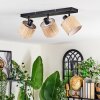 Bongal Plafonnier, Spot de plafond Noir, 3 lumières