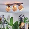 Bongal Plafonnier, Spot de plafond Noir, 3 lumières