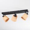 Lindberg Plafonnier, Spot de plafond Noir, 3 lumières