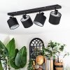 Bassagoda Plafonnier, Spot de plafond Noir, 4 lumières Bassagoda Plafonnier, Spot de plafond Noir, 4 lumières