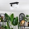 Bassagoda Plafonnier, Spot de plafond Noir, 2 lumières