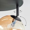 Chehalis Plafonnier, Boule lumineuse Ambre, Clair, 4 lumières