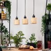 Cavaca Suspension, Suspension Écru, Noir, 3 lumières