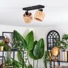 Granja Plafonnier, Spot de plafond Noir, 2 lumières