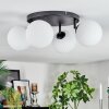 Chehalis Plafonnier, Boule lumineuse 30 cm Blanc, 4 lumières