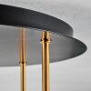 Koyoto Plafonnier, Boule lumineuse 45 cm Laiton, Noir, 5 lumières