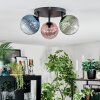 Chehalis Plafonnier, Boule lumineuse Bleu, Vert, Clair, Cuivré, 3 lumières Chehalis Plafonnier, Boule lumineuse Bleu, Vert, Clair, Cuivré, 3 lumières