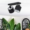 Bassagoda Plafonnier, Spot de plafond Noir, 2 lumières