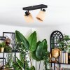 Lindberg Plafonnier, Spot de plafond Noir, 2 lumières