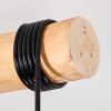 Cando Suspension, Suspension Écru, Noir, 3 lumières