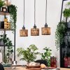 Cando Suspension, Suspension Écru, Noir, 3 lumières