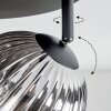 Chehalis Plafonnier, Boule lumineuse Fumé, 4 lumières