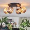 Chehalis Plafonnier, Boule lumineuse Ambre, Fumé, 4 lumières