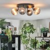 Chehalis Plafonnier, Boule lumineuse Ambre, Fumé, 4 lumières