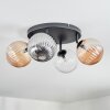 Chehalis Plafonnier, Boule lumineuse Ambre, Clair, Fumé, 4 lumières