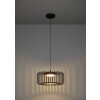 GINESTRONE-Z Suspension Luminaires Eglo LED Noir, 1 lumière, Changeur de couleurs