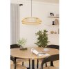 YUKU-Z Suspension Luminaires Eglo LED Blanc, 1 lumière, Changeur de couleurs