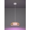 YUKU-Z Suspension Luminaires Eglo LED Blanc, 1 lumière, Changeur de couleurs