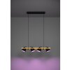 HORNWOOD-Z Suspension Luminaires Eglo LED Brun, Noir, 4 lumières, Changeur de couleurs