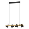 HORNWOOD-Z Suspension Luminaires Eglo LED Brun, Noir, 4 lumières, Changeur de couleurs