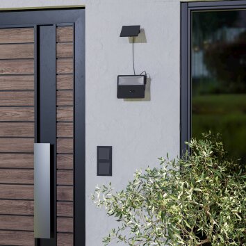 PANETTIERI Lampe solaire Luminaires Eglo LED Noir, 1 lumière, Détecteur de mouvement PANETTIERI Lampe solaire Luminaires Eglo LED Noir, 1 lumière, Détecteur de mouvement