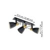 COSWARTH Plafonnier, Spot de plafond Luminaires Eglo Anthracite, Brun, Blanc opale