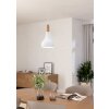 SABINAR Suspension Luminaires Eglo Blanc
