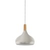 SABINAR Suspension Luminaires Eglo Argenté