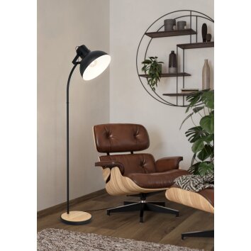 LUBENHAM Lampadaire Luminaires Eglo Brun, Noir, 1 lumière