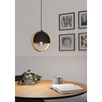 CALLOW Suspension Luminaires Eglo Brun, Noir, 1 lumière