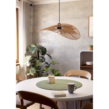 SIRUELA Suspension Luminaires Eglo Noir, 1 lumière SIRUELA Suspension Luminaires Eglo Noir, 1 lumière