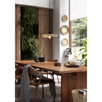 MARYWELL Suspension Luminaires Eglo Noir, 1 lumière