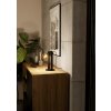 PLIMSOLL Lampe à poser Luminaires Eglo Noir, 1 lumière