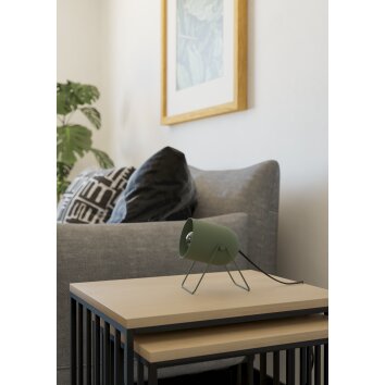 TILSTON Lampe à poser Luminaires Eglo Vert, 1 lumière