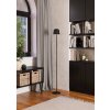 MANNERA-L Lampadaire Luminaires Eglo LED Noir, 1 lumière, Télécommandes, Changeur de couleurs