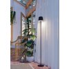MANNERA-L Lampadaire Luminaires Eglo LED Noir, 1 lumière, Télécommandes, Changeur de couleurs