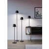MANNERA-L Lampadaire Luminaires Eglo LED Noir, 1 lumière, Télécommandes, Changeur de couleurs