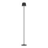 MANNERA-L Lampadaire Luminaires Eglo LED Noir, 1 lumière, Télécommandes, Changeur de couleurs