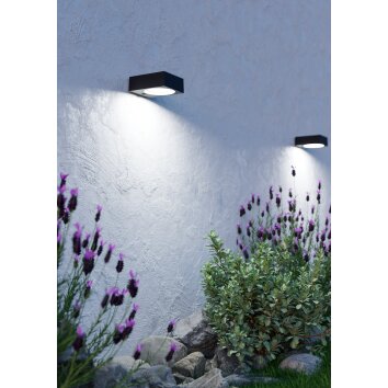 DARFANO Lampe solaire Luminaires Eglo LED Noir, Détecteur de mouvement