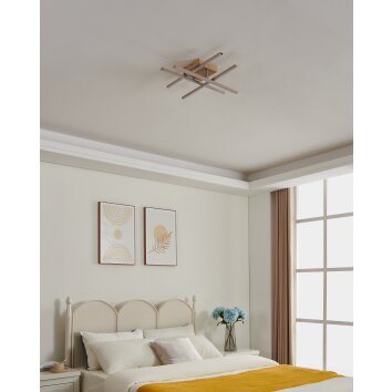 EGLO Plafonnier, Applique murale / Plafonnier Luminaires Eglo LED Brun clair