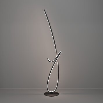 CARDONCITO Lampadaire Luminaires Eglo LED Noir, Changeur de couleurs